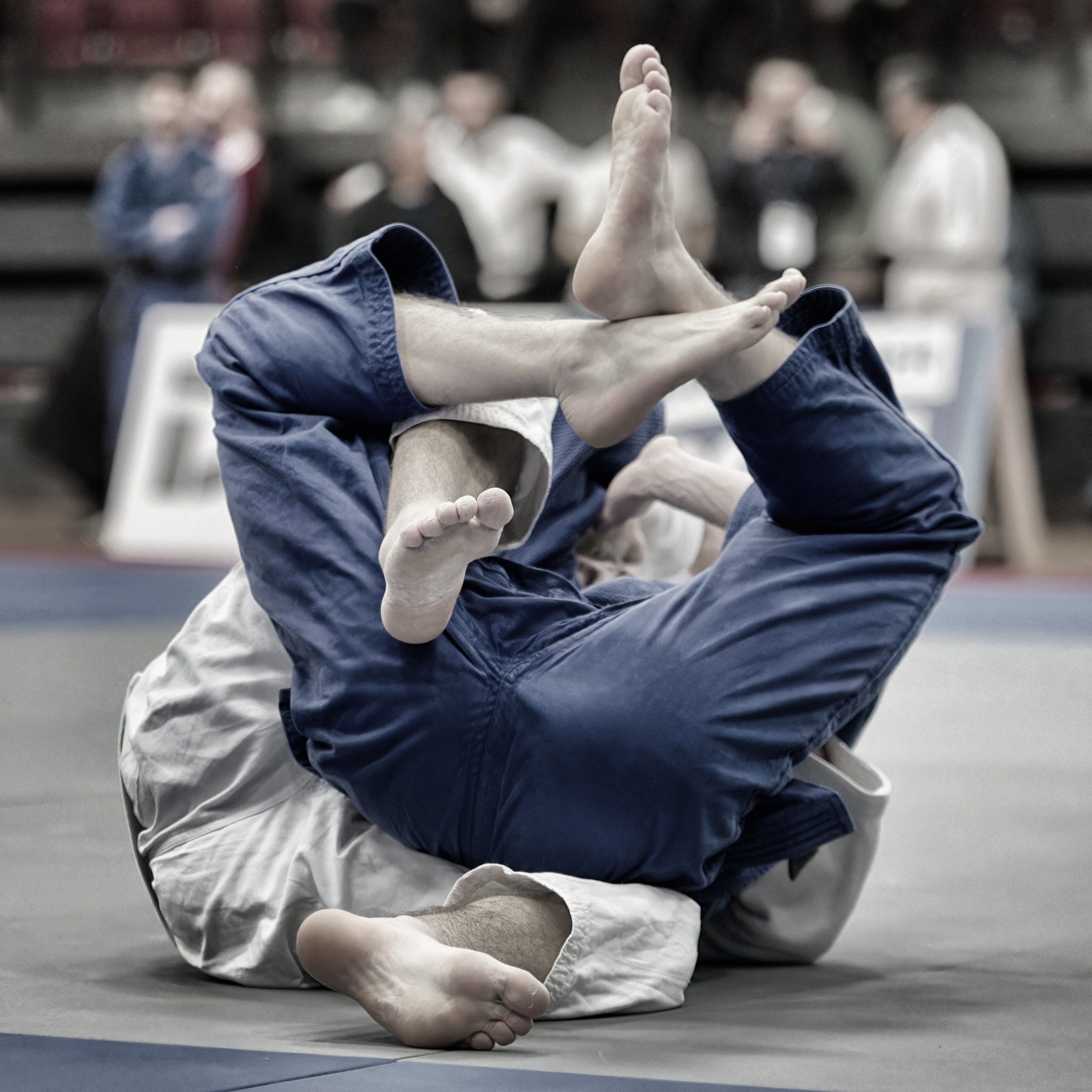 judo